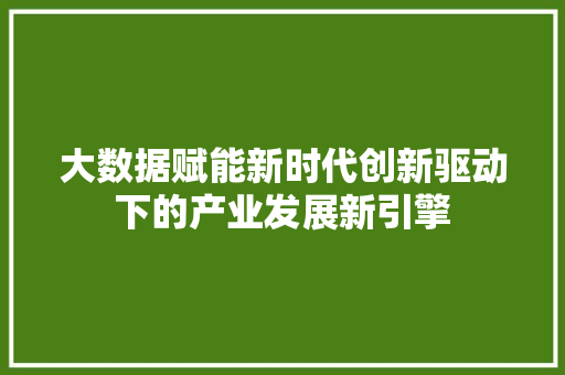 大数据赋能新时代创新驱动下的产业发展新引擎