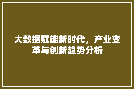 大数据赋能新时代，产业变革与创新趋势分析