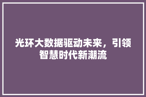 光环大数据驱动未来，引领智慧时代新潮流  第1张