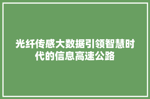 光纤传感大数据引领智慧时代的信息高速公路