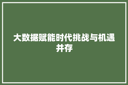 大数据赋能时代挑战与机遇并存  第1张