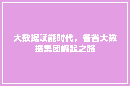 大数据赋能时代，各省大数据集团崛起之路  第1张