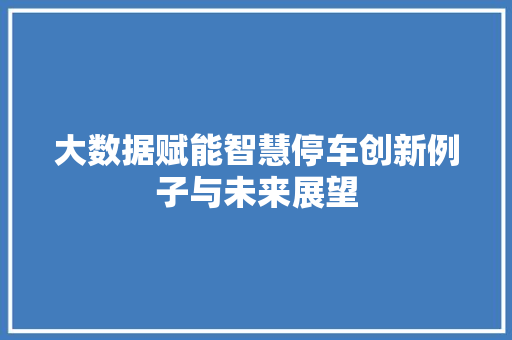 大数据赋能智慧停车创新例子与未来展望