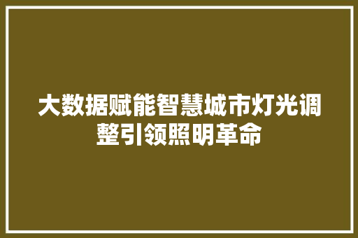 大数据赋能智慧城市灯光调整引领照明革命