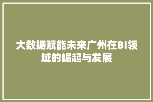 大数据赋能未来广州在BI领域的崛起与发展  第1张