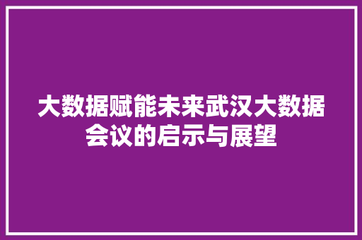 大数据赋能未来武汉大数据会议的启示与展望  第1张