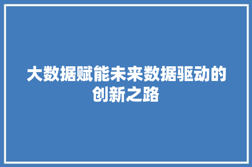 大数据赋能未来数据驱动的创新之路  第1张