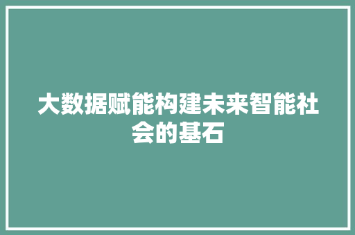 大数据赋能构建未来智能社会的基石  第1张