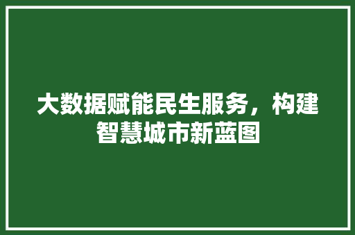 大数据赋能民生服务，构建智慧城市新蓝图