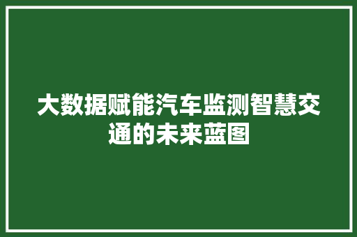 大数据赋能汽车监测智慧交通的未来蓝图  第1张
