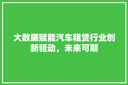 大数据赋能汽车租赁行业创新驱动，未来可期  第1张