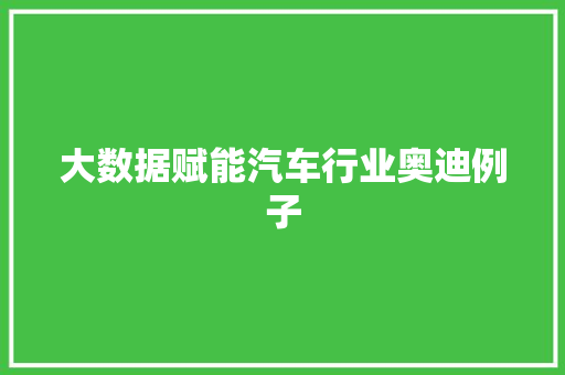 大数据赋能汽车行业奥迪例子