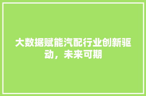 大数据赋能汽配行业创新驱动，未来可期