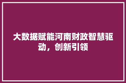 大数据赋能河南财政智慧驱动，创新引领