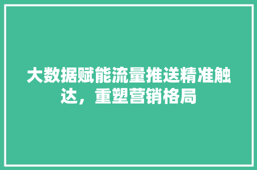 大数据赋能流量推送精准触达，重塑营销格局  第1张