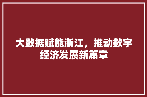 大数据赋能浙江，推动数字经济发展新篇章  第1张