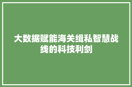 大数据赋能海关缉私智慧战线的科技利剑