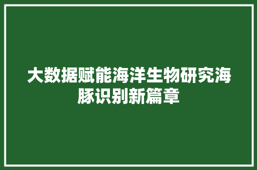 大数据赋能海洋生物研究海豚识别新篇章