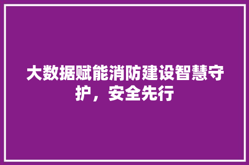 大数据赋能消防建设智慧守护，安全先行  第1张