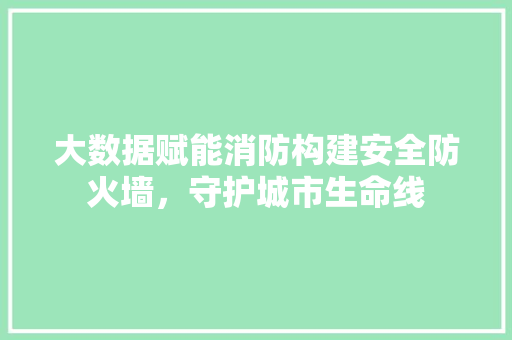 大数据赋能消防构建安全防火墙，守护城市生命线  第1张