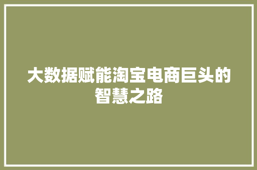 大数据赋能淘宝电商巨头的智慧之路  第1张