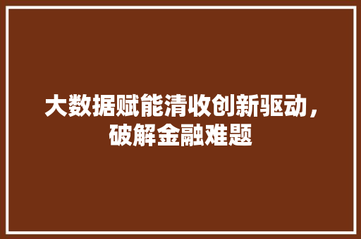 大数据赋能清收创新驱动，破解金融难题  第1张