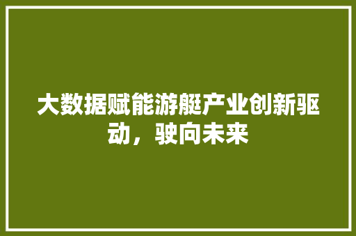 大数据赋能游艇产业创新驱动，驶向未来