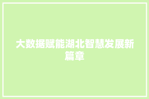 大数据赋能湖北智慧发展新篇章  第1张