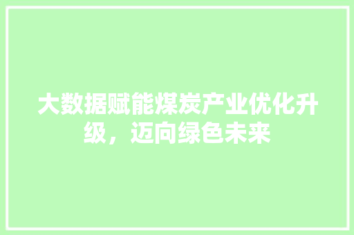 大数据赋能煤炭产业优化升级，迈向绿色未来  第1张