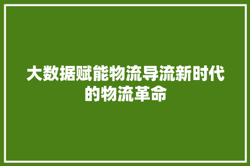 大数据赋能物流导流新时代的物流革命