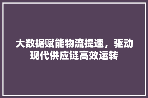 大数据赋能物流提速，驱动现代供应链高效运转  第1张