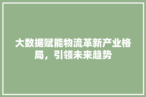 大数据赋能物流革新产业格局，引领未来趋势