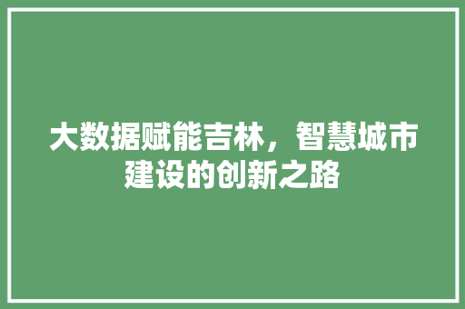大数据赋能吉林，智慧城市建设的创新之路