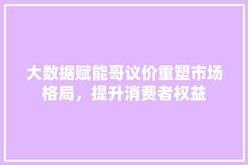大数据赋能哥议价重塑市场格局，提升消费者权益