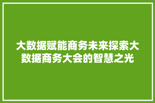 大数据赋能商务未来探索大数据商务大会的智慧之光