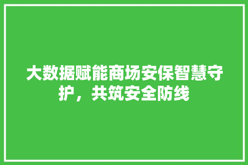 大数据赋能商场安保智慧守护，共筑安全防线