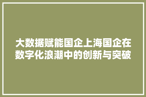 大数据赋能国企上海国企在数字化浪潮中的创新与突破