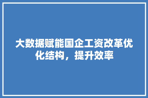 大数据赋能国企工资改革优化结构，提升效率  第1张