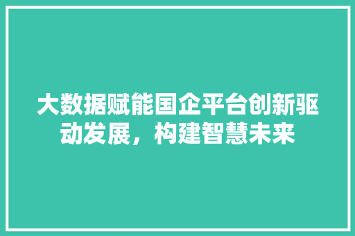 大数据赋能国企平台创新驱动发展，构建智慧未来  第1张