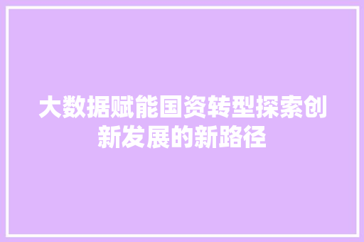 大数据赋能国资转型探索创新发展的新路径