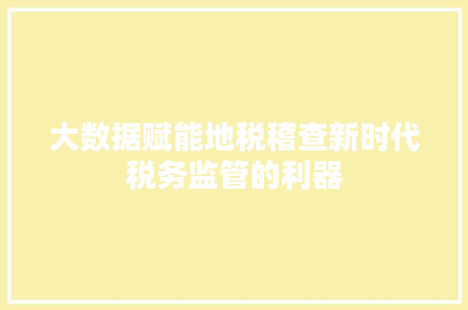 大数据赋能地税稽查新时代税务监管的利器