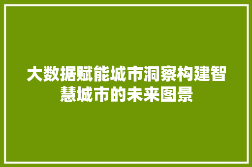 大数据赋能城市洞察构建智慧城市的未来图景  第1张