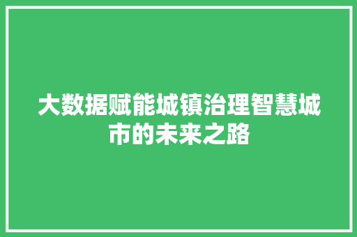 大数据赋能城镇治理智慧城市的未来之路