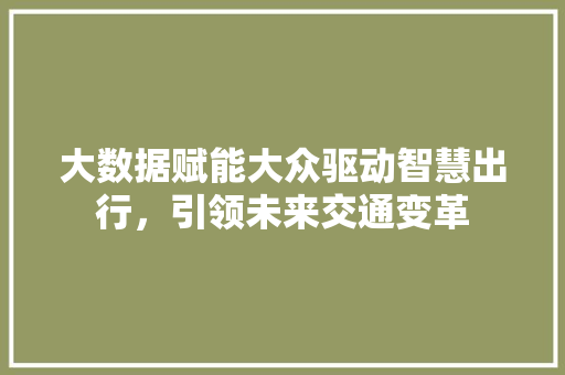 大数据赋能大众驱动智慧出行，引领未来交通变革  第1张