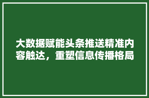 大数据赋能头条推送精准内容触达，重塑信息传播格局  第1张