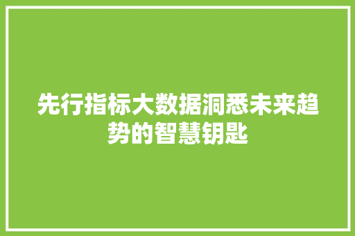 先行指标大数据洞悉未来趋势的智慧钥匙