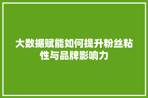 大数据赋能如何提升粉丝粘性与品牌影响力  第1张