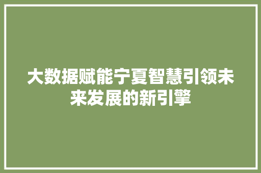 大数据赋能宁夏智慧引领未来发展的新引擎  第1张