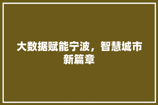 大数据赋能宁波，智慧城市新篇章  第1张