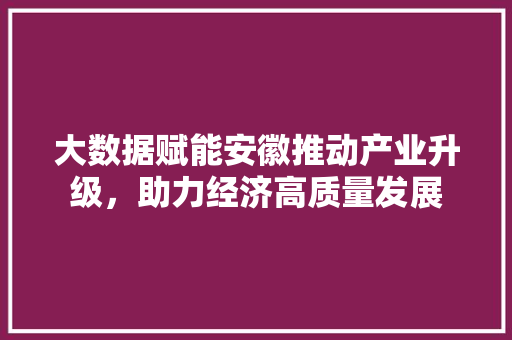 大数据赋能安徽推动产业升级，助力经济高质量发展  第1张